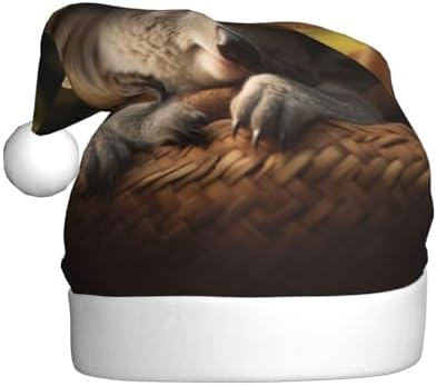 QINZHENG Personalized Santa Hat with Koala Print for Women