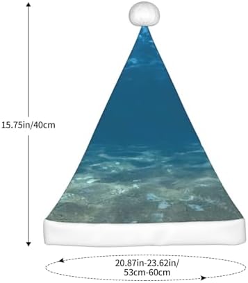 QinZheng Blue Ocean Seascape Santa Hat
