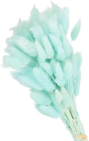 PATIKIL 157in Light Blue Bunny Tails Dried Flowers 70pcs