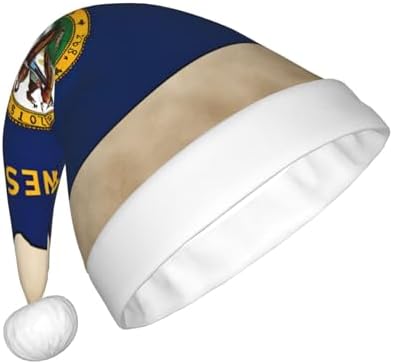 QINZHENG Abstract Minnesota Flag Santa Hat Velvet Plush Christmas Gift for Women
