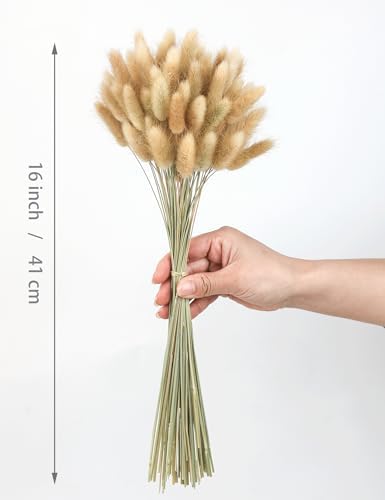Xins Convey 120pcs Dried Rabbit Tails Natural Flowers