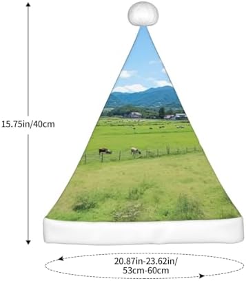 QINZHENG Personalized Santa Hat with Grasses View Print