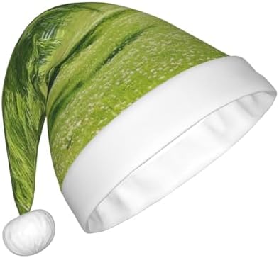 QINZHENG Personalized Santa Hat with Willow Tree Print