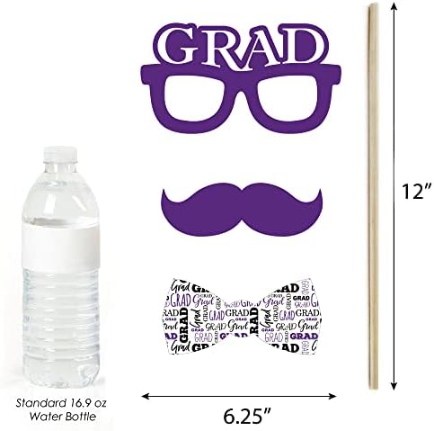 Big Dot of Happiness Graduation Props 2025 Purple 20-Pack