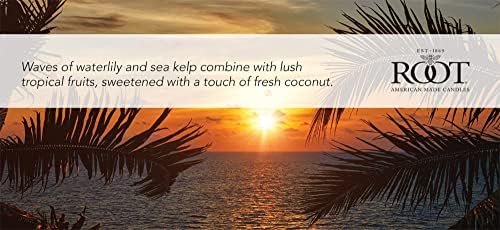 Root Candles Coastal Sunrise Honeycomb Jar Candle