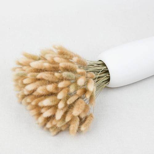 Xins Convey 120pcs Dried Rabbit Tails Natural Flowers