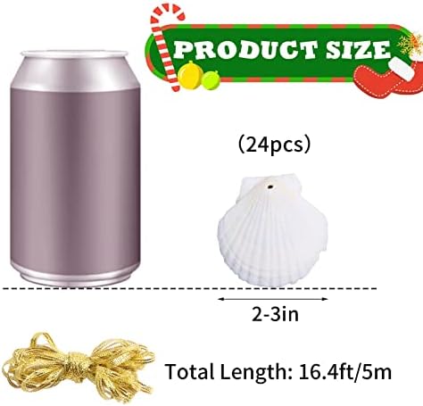 Natural White Seashells Crafting Set 24pcs for Christmas Decor