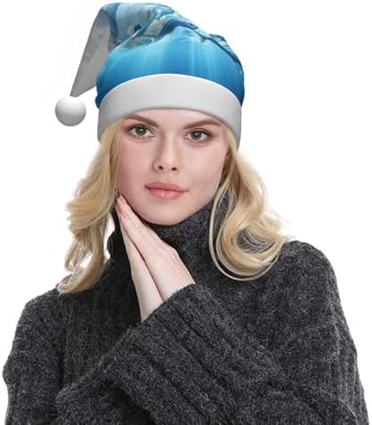Personalized Santa Hat with Fishs HD Print for Women and Adults