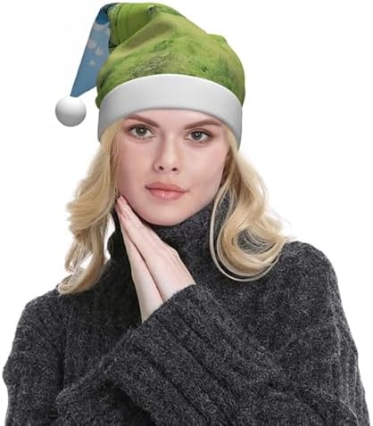 QINZHENG Personalized Santa Hat with Grasses View Print
