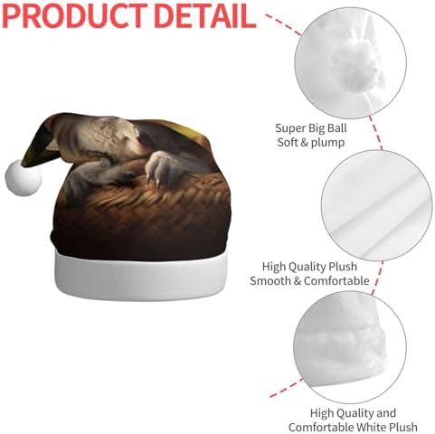 QINZHENG Personalized Santa Hat with Koala Print for Women