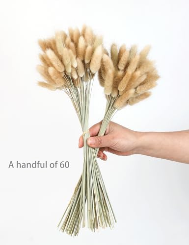 Xins Convey 120pcs Dried Rabbit Tails Natural Flowers