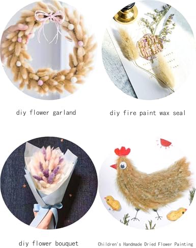 Xins Convey 120pcs Dried Rabbit Tails Natural Flowers
