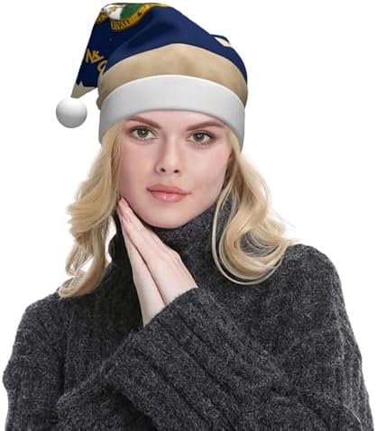 QINZHENG Abstract Minnesota Flag Santa Hat Velvet Plush Christmas Gift for Women