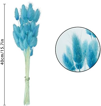 17 Natural Bunny Tails Dried Flowers 120 Pcs Teal Blue