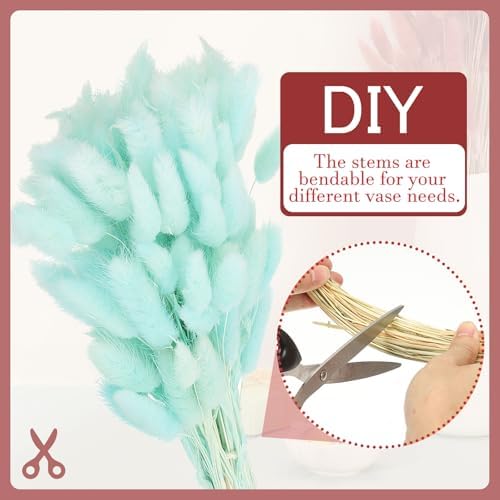 PATIKIL 157in Light Blue Bunny Tails Dried Flowers 70pcs