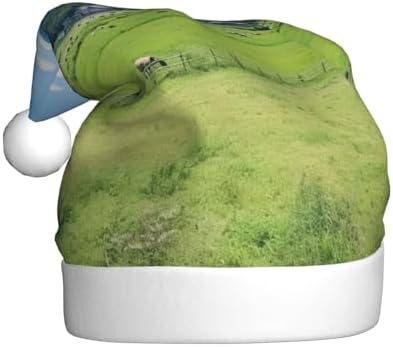 QINZHENG Personalized Santa Hat with Grasses View Print