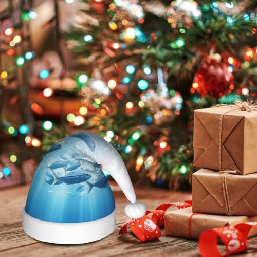 Personalized Santa Hat with Fishs HD Print for Women and Adults