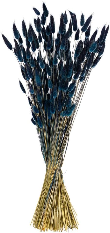 Vickerman 24 Inch Dried Dark Blue Bunny Tail Lagurus Bunch