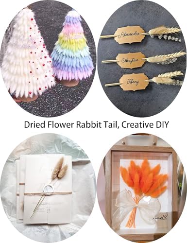 Xins Convey 120pcs Dried Rabbit Tails Natural Flowers