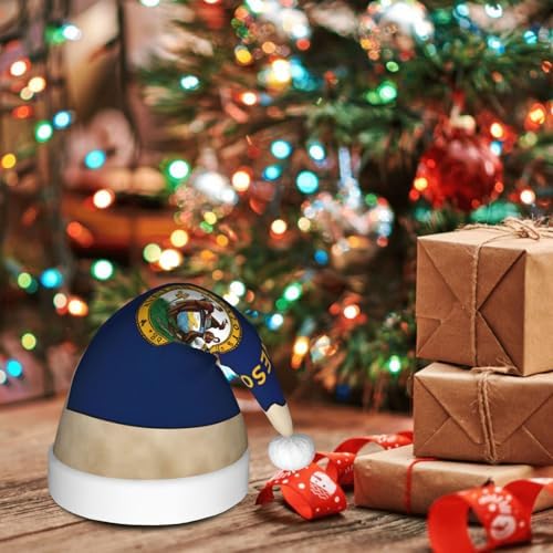 QINZHENG Abstract Minnesota Flag Santa Hat Velvet Plush Christmas Gift for Women