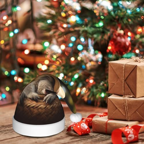 QINZHENG Personalized Santa Hat with Koala Print for Women