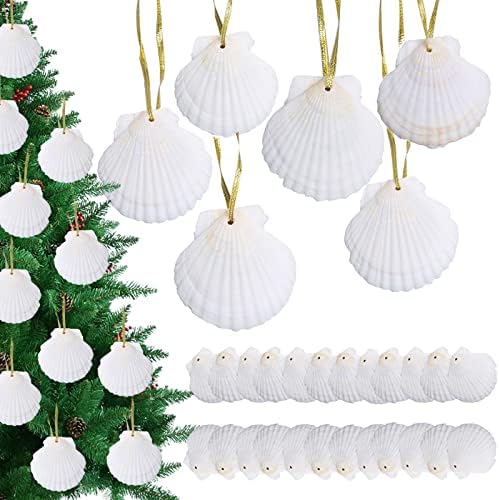 Natural White Seashells Crafting Set 24pcs for Christmas Decor
