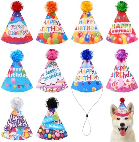 JpGdn 10PCS Felt Birthday Cone Hats for Kids Pets and Animals