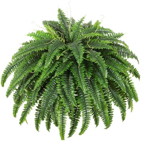 Single Silky Artificial Boston Fern Bush 49 Inch