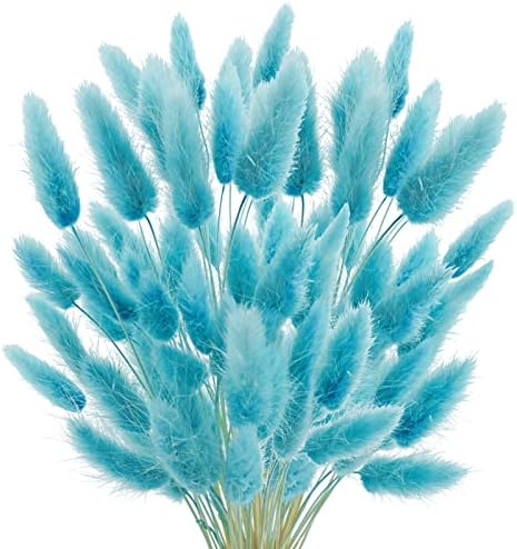 17 Natural Bunny Tails Dried Flowers 120 Pcs Teal Blue