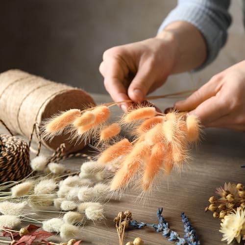 PATIKIL 157in Light Blue Bunny Tails Dried Flowers 70pcs