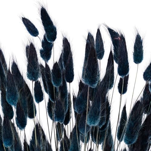 Vickerman 24 Inch Dried Dark Blue Bunny Tail Lagurus Bunch