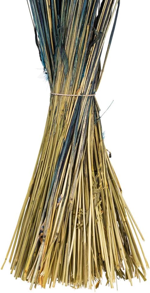 Vickerman 24 Inch Dried Dark Blue Bunny Tail Lagurus Bunch