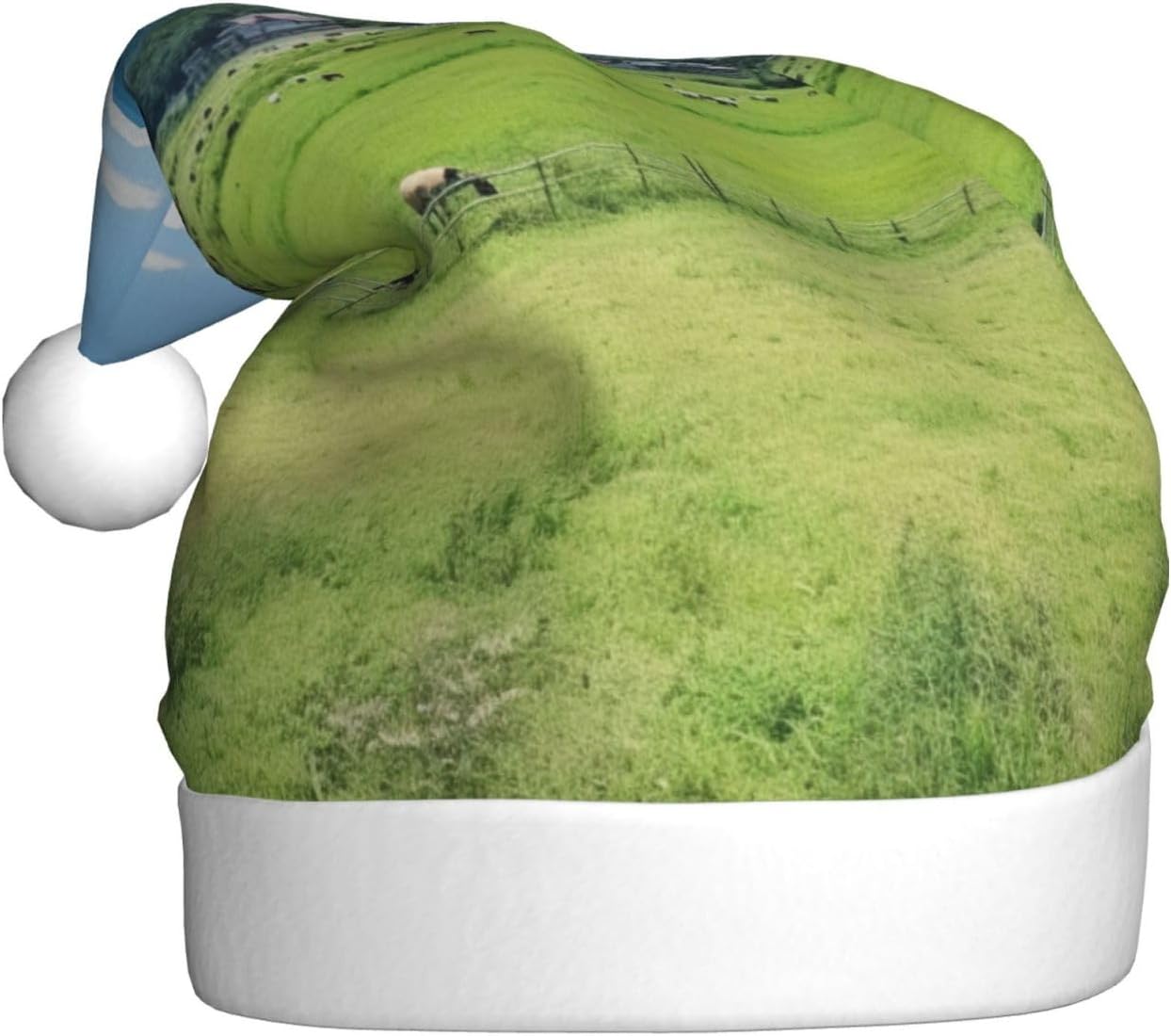 QINZHENG Personalized Santa Hat with Grasses View Print