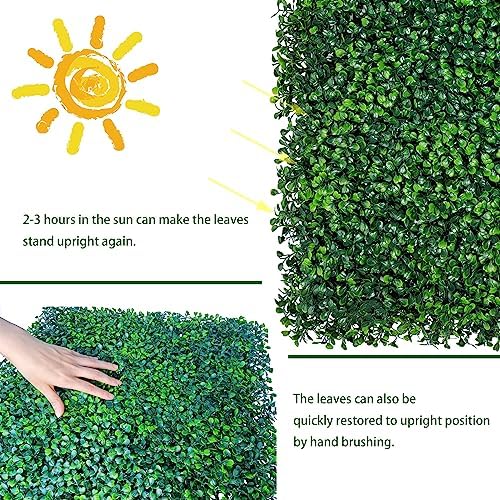 Artificial Grass Wall Panel Backdrop 12P 84 sqft UV-Anti Greenery Boxwood Panels