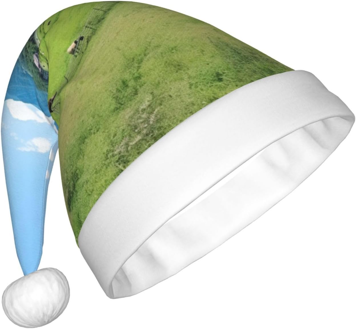 QINZHENG Personalized Santa Hat with Grasses View Print