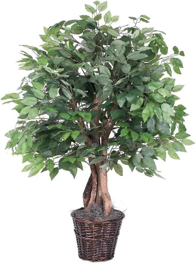 Vickerman Everyday Ficus Bush Green Dark 4