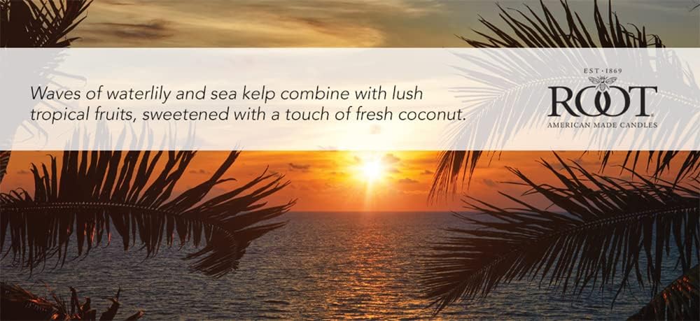 Root Candles Coastal Sunrise Honeycomb Jar Candle