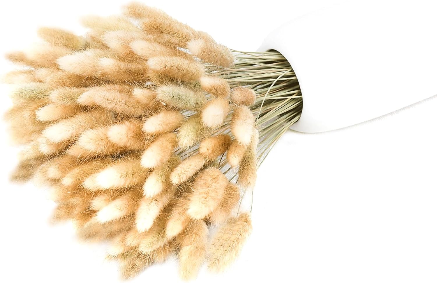 Xins Convey 120pcs Dried Rabbit Tails Natural Flowers