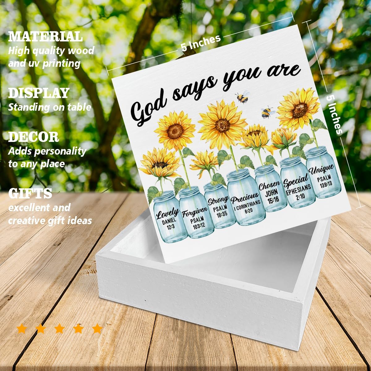 Inspirational Bible Verse Wooden Box Sign for Home Office