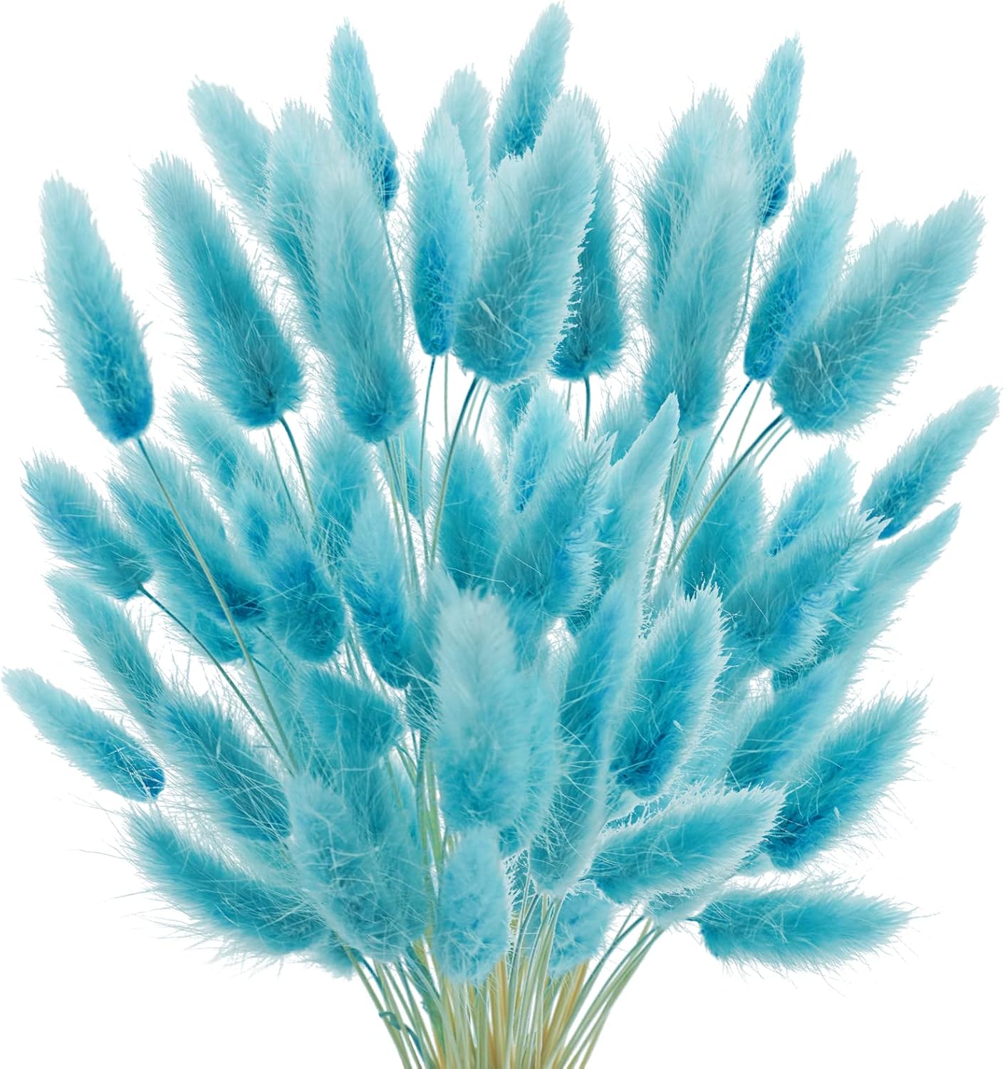 17 Natural Bunny Tails Dried Flowers 120 Pcs Teal Blue