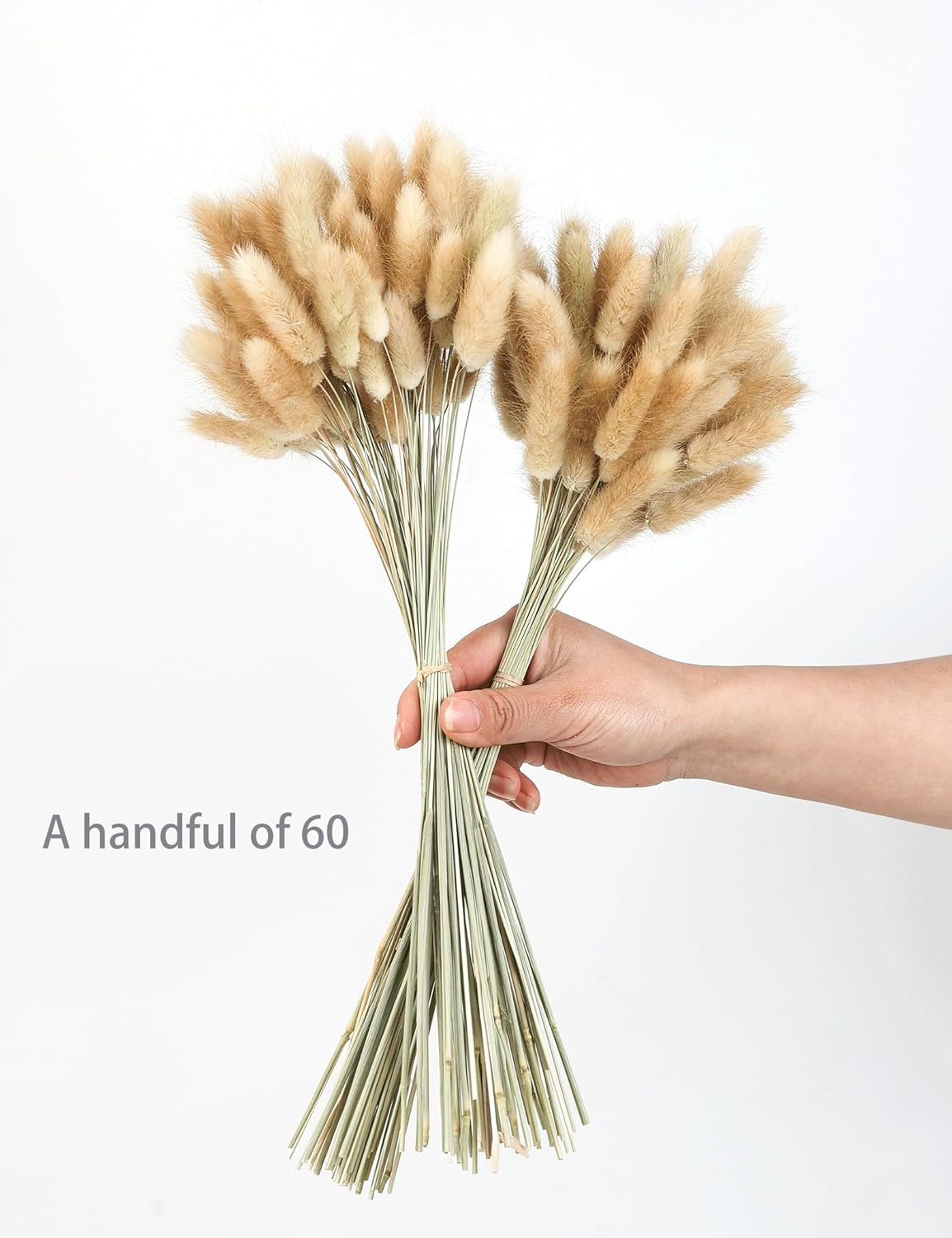 Xins Convey 120pcs Dried Rabbit Tails Natural Flowers