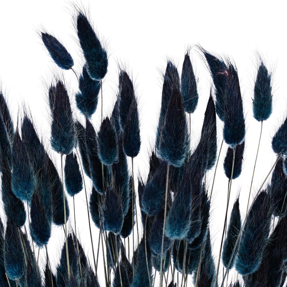 Vickerman 24 Inch Dried Dark Blue Bunny Tail Lagurus Bunch