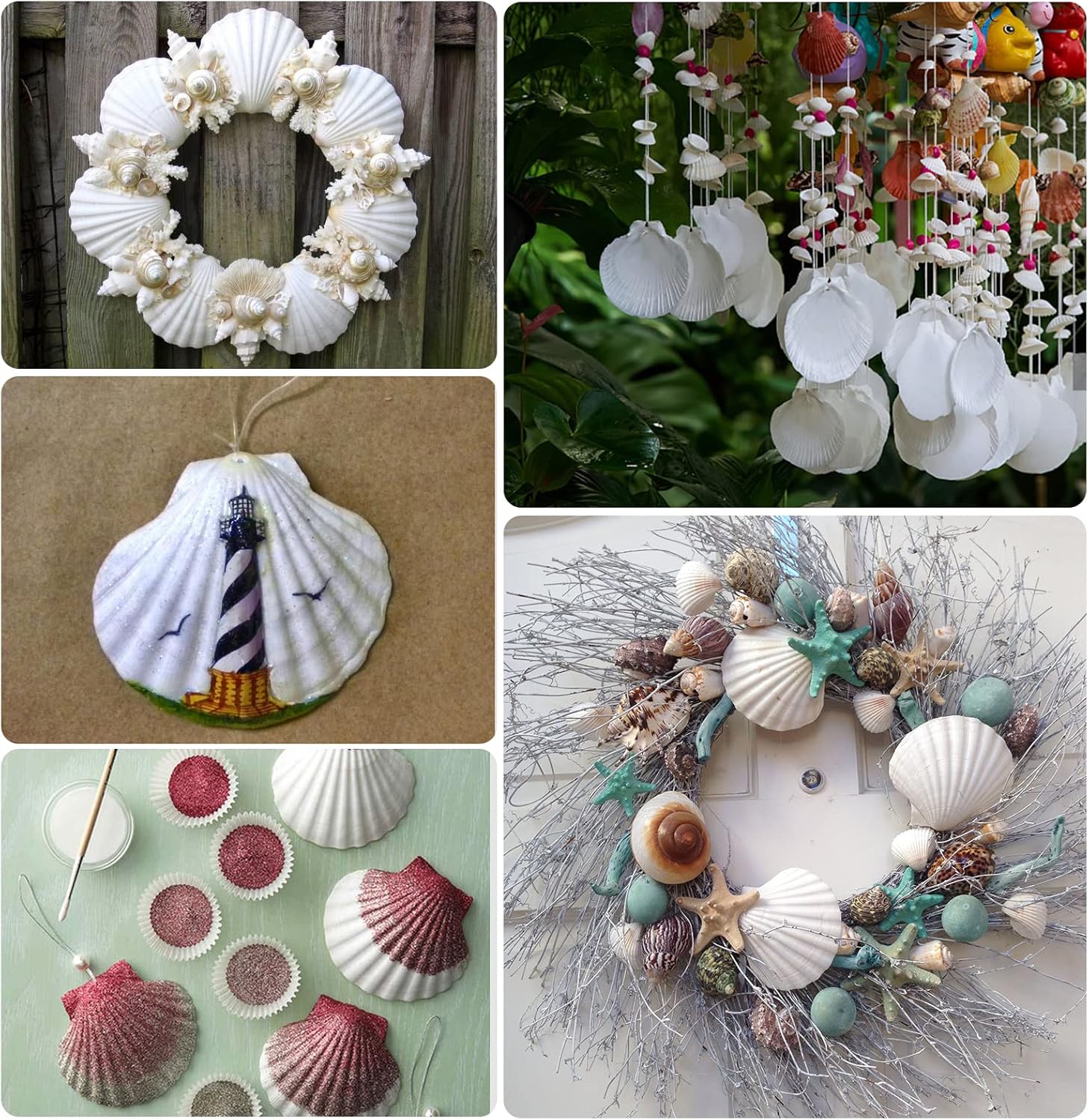 Natural White Seashells Crafting Set 24pcs for Christmas Decor