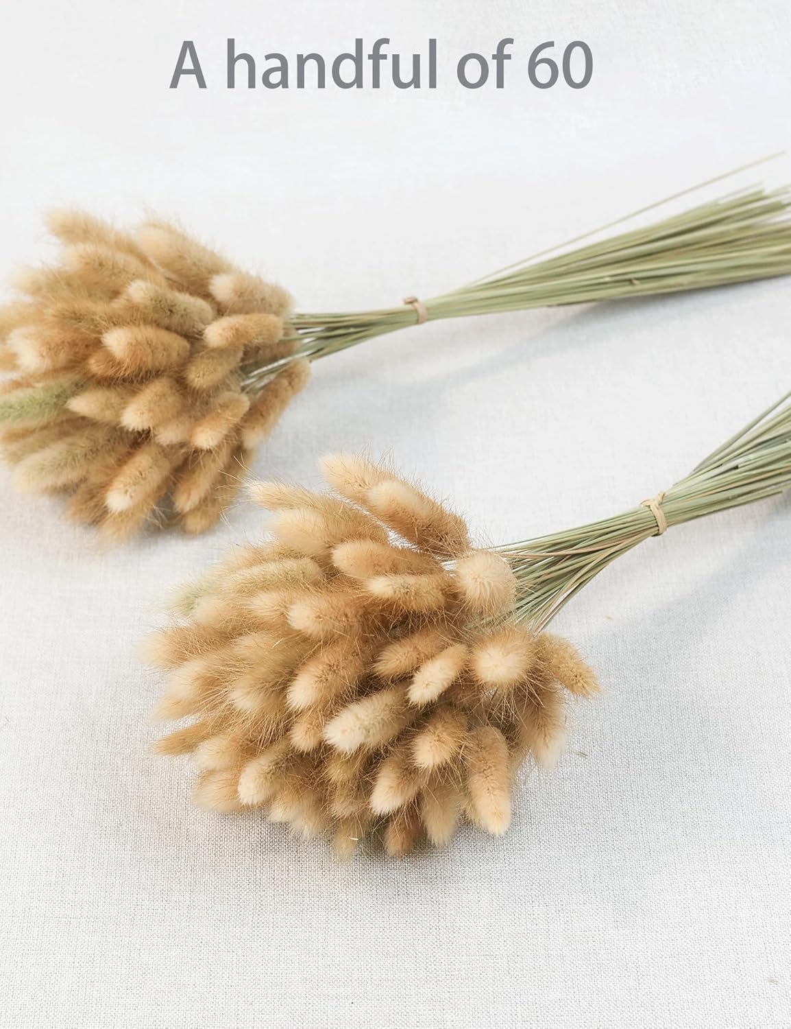 Xins Convey 120pcs Dried Rabbit Tails Natural Flowers